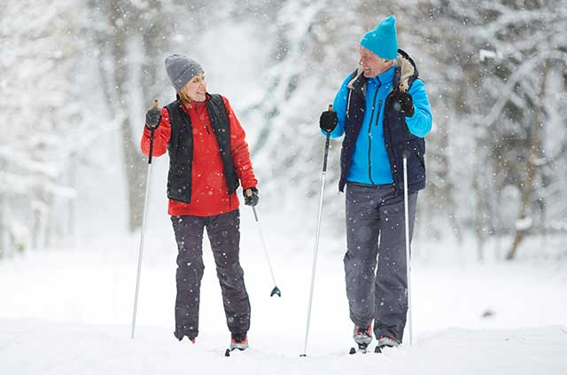 Photo for the article Cross-country skiing